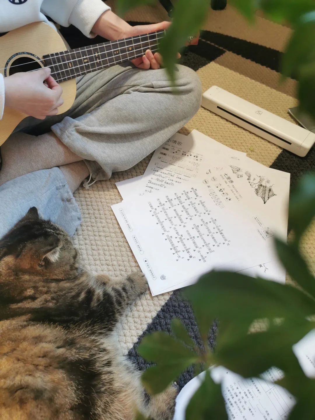 打印插畫手稿 打印插畫手稿