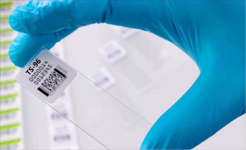 玻片標簽.png 玻片標簽.png