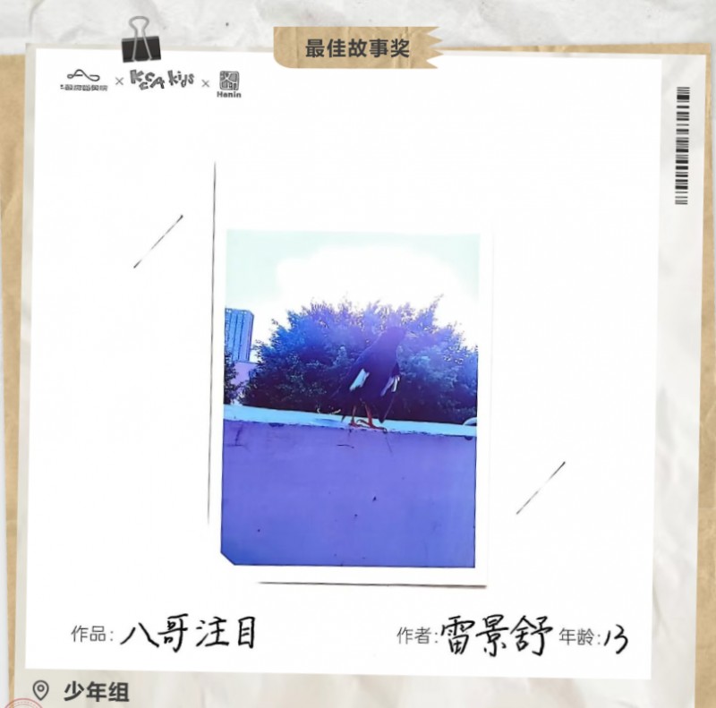 最佳故事獎(jiǎng) 少年組_2